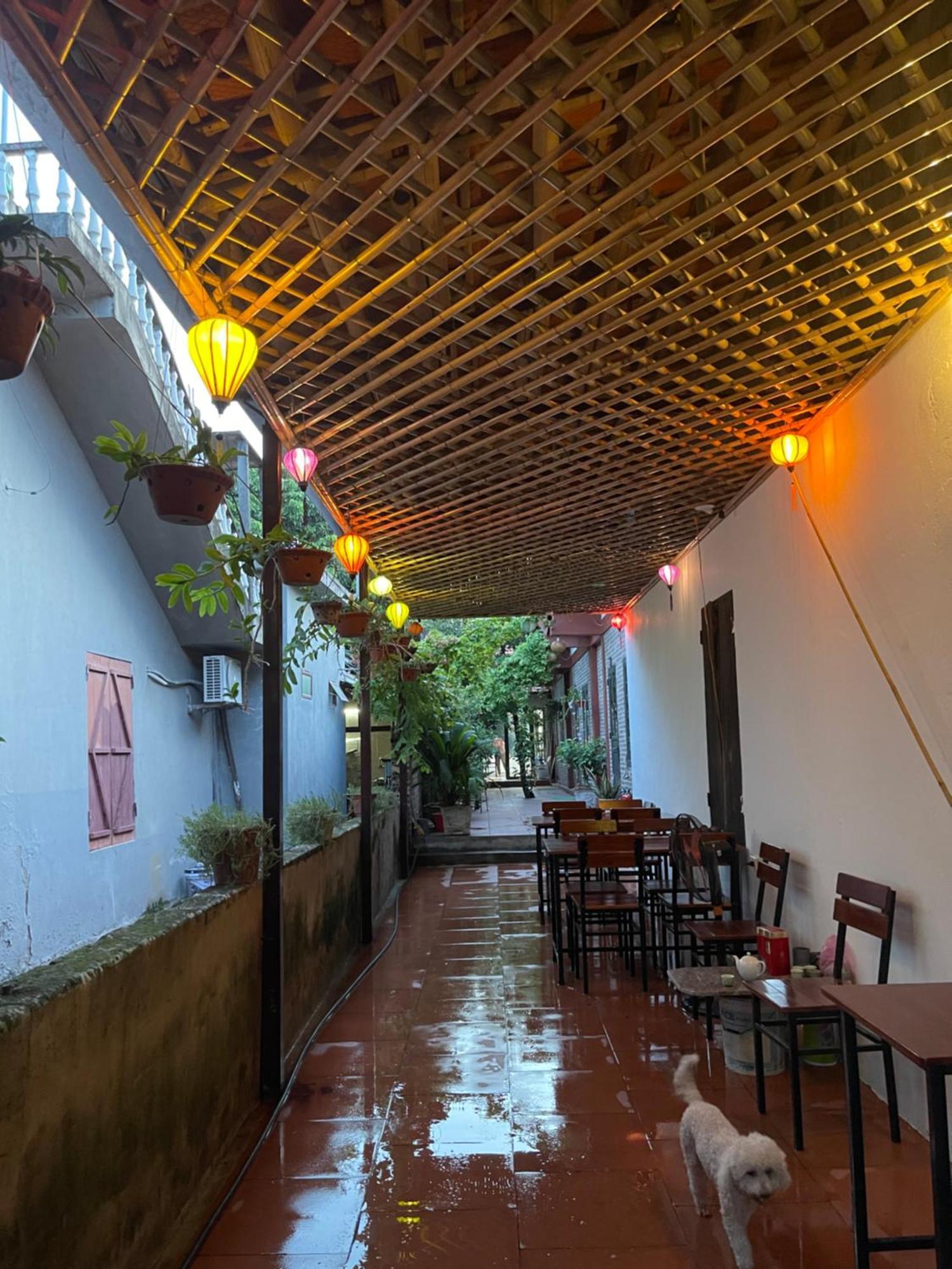 Thuy Xuyen Tam Coc Homestay Vu Lam Exterior foto
